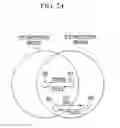 Fig. 24 - Frame transmitting method