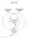 Fig. 26 - Frame transmitting method