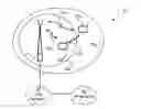 Fig. 01 - Synchronization in communications networks