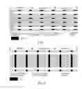 Fig. 05 - Data sending and receiving method and data sending and receiving end
