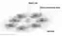 Fig. 01 - CELL OPERATION CONCEPT