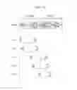 Fig. 12 - Base station device, mobile station device, and communication method