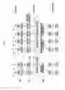 Fig. 05 - Terminal for supporting device to device communication and method for operating same