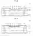 Fig. 04 - PRINTED CIRCUIT BOARD AND METHOD OF MANUFACTURING THE SAME, AND ELECTRONIC COMPONENT MODULE