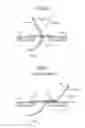 Fig. 06 - Electronic apparatus