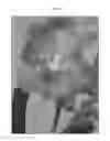 Fig. 04 - Vanda plant named SPCDW1407