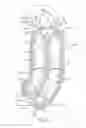 Fig. 04 - Belted seed transfer mechanism
