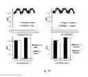 Fig. 23 - MRAP2 KNOCKOUTS