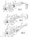 Fig. 05 - Fishing weight assembly