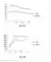 Fig. 03 - Pharmaceutical Composition Comprising a Cyclic peptide of formula X1-GQRETPEGAEAKPWY-X2 and use for extracorporeal lung treatment