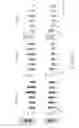 Fig. 10 - Maintenance medium for primate pluripotent stem cells