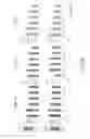 Fig. 11 - Maintenance medium for primate pluripotent stem cells