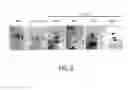 Fig. 14 - Maintenance medium for primate pluripotent stem cells
