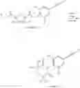 Fig. 16 - Herbicidally active (alkynyl-phenyl)-substituted cyclic dione compounds and derivatives thereof