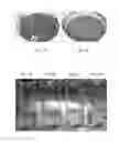Fig. 02 - Method of controlling water surface inhabiting pests