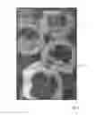 Fig. 05 - Method of controlling water surface inhabiting pests