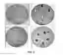 Fig. 03 - Plant growth-promoting microorganisms and methods of use thereof