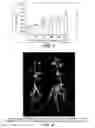 Fig. 04 - Plant growth-promoting microorganisms and methods of use thereof