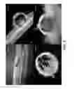 Fig. 07 - Plant growth-promoting microorganisms and methods of use thereof