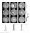 Fig. 12 - Plant growth-promoting microorganisms and methods of use thereof