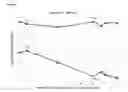 Fig. 04 - LACTIC ACID BACTERIUM AS PET DIETARY SUPPLEMENT