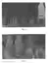 Fig. 05 - MULTI-TEXTURE PET TREATS AND METHODS OF MAKING SAME