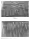 Fig. 06 - MULTI-TEXTURE PET TREATS AND METHODS OF MAKING SAME