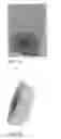 Fig. 04 - LOW DENSITY EDIBLE ANIMAL CHEWS AND METHODS OF MAKING SAME
