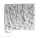 Fig. 10 - LOW DENSITY EDIBLE ANIMAL CHEWS AND METHODS OF MAKING SAME
