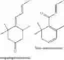 Fig. 07 - Tobacco-derived components and materials