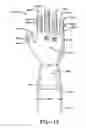 Fig. 13 - GLOVE HAVING A WIDENED CUFF AND WITH FINGER REGIONS THAT INCLUDE A FLEXIBLE HINGE REGION