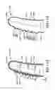 Fig. 15 - GLOVE HAVING A WIDENED CUFF AND WITH FINGER REGIONS THAT INCLUDE A FLEXIBLE HINGE REGION