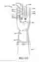 Fig. 18 - GLOVE HAVING A WIDENED CUFF AND WITH FINGER REGIONS THAT INCLUDE A FLEXIBLE HINGE REGION