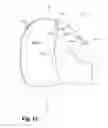 Fig. 13 - Decorative helmet