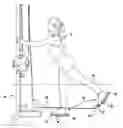 Fig. 01 - Exercise Shoe