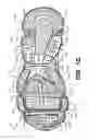 Fig. 04 - Sole structures and articles of footwear having a lightweight midsole with segmented protective elements