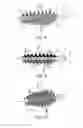 Fig. 04 - Device for applying a cosmetic product