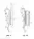 Fig. 02 - Parallel Webbing Attachment System