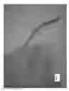 Fig. 42 - PORTABLE BEACH CHAIR COVER