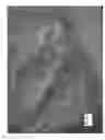 Fig. 48 - PORTABLE BEACH CHAIR COVER