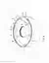 Fig. 05 - Retaining element