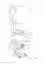 Fig. 02 - Surface cleaning apparatus with enhanced operability