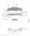 Fig. 09 - Polarizing endoscopy system and method