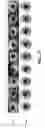 Fig. 22 - Coupled reconstruction of refractive and opaque surfaces