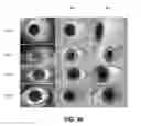 Fig. 31 - Coupled reconstruction of refractive and opaque surfaces