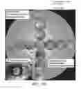 Fig. 10 - Adaptive infrared retinoscopic device for detecting ocular aberrations