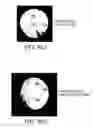 Fig. 14 - Adaptive infrared retinoscopic device for detecting ocular aberrations