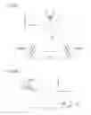 Fig. 06 - Ophthalmological apparatus