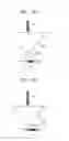 Fig. 07 - Apparatus for measuring bioelectrical signals