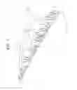 Fig. 08 - Apparatus for measuring bioelectrical signals
